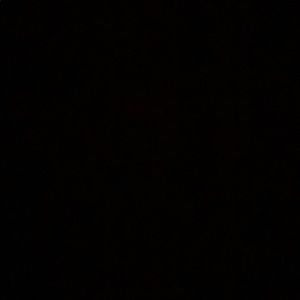 Meet your Posher, Sophie